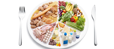 Curso OnLine de Nutrición Básica