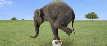 Seminario de entrenamiento en inestabilidad