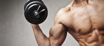 Seminario Entrenamiento de Fuerza