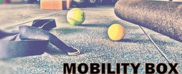 Functional Patterns I: Mobility Box
