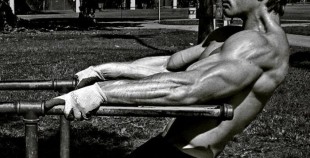 Bases y aplicación Calistenia