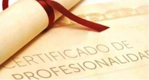 Preparación certificado de profesionalidad.