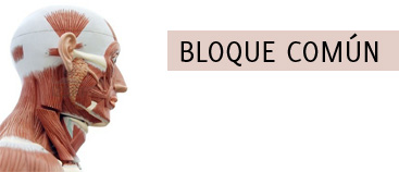 Curso Bloque Común Avanzado