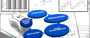 Seminario de Planificación y Programación y Periodización de la Fuerza en Sala Fitness