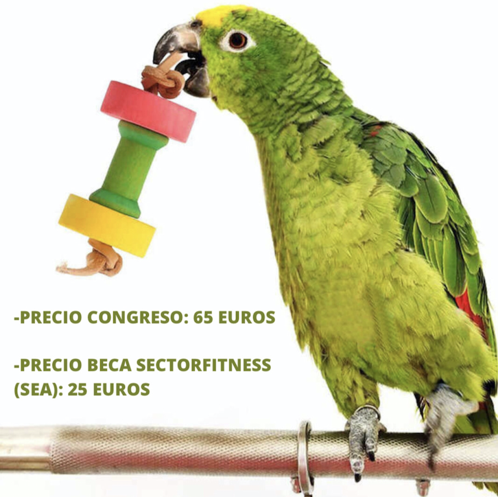 TERRA NATURA ACOGERÁ EL CONGRESO SECTORFITNESS BENIDORM 2021.