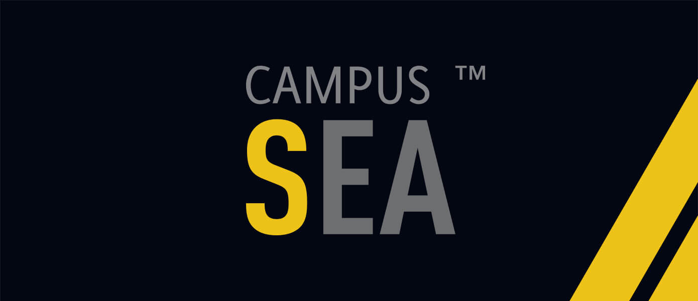 Training Day 100% Alicante 2024